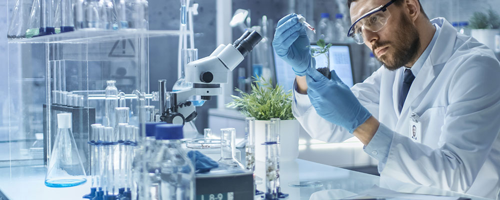 Igiene e Qualità degli Alimenti